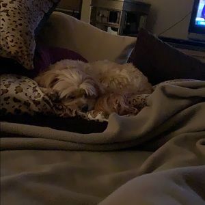 Meet your Posher, Mark